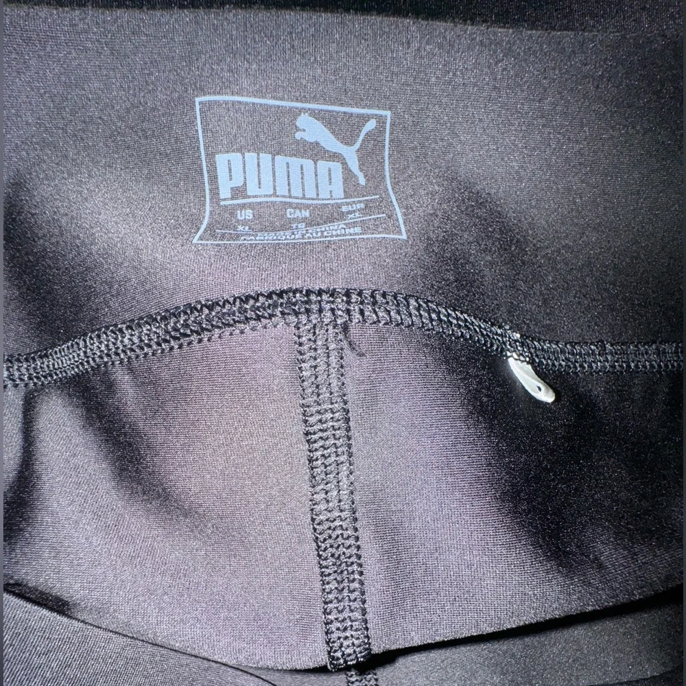 Puma excellent size